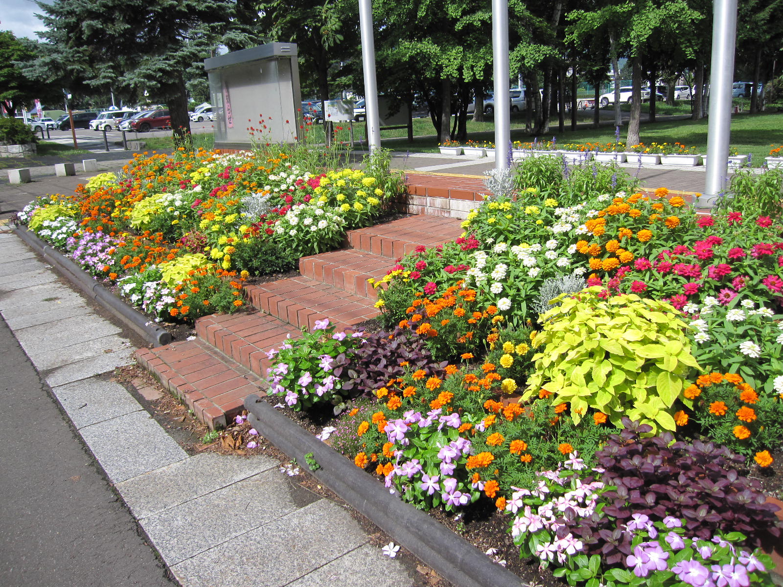掲示板