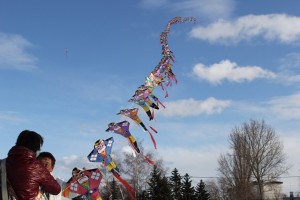 凧の会、田中様の連凧!!