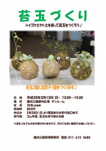 H28苔玉づくり