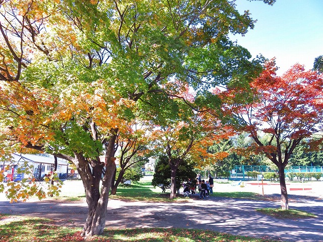 紅葉写真遊戯広場