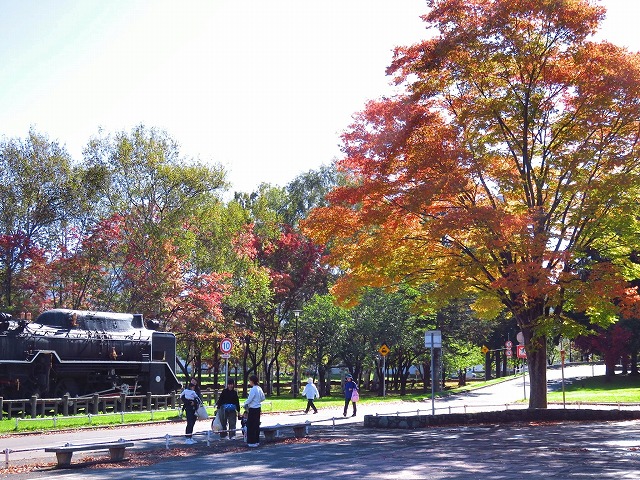 交通コーナー紅葉